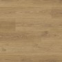 Ламинат DC Laminate Professional DCV00279 Authentic Oak Nature